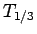 $T_{1/3}$